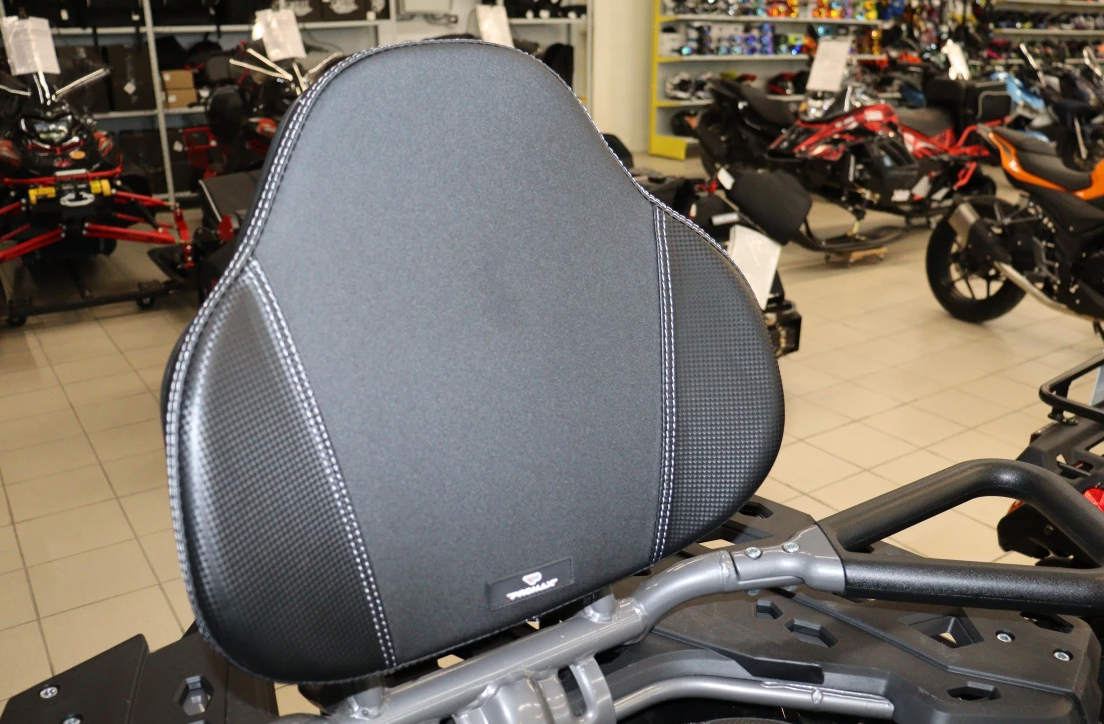 Квадроцикл PROMAX RENEGADE 300 LONG WINCH PRO (2025) в Каменск-Уральском