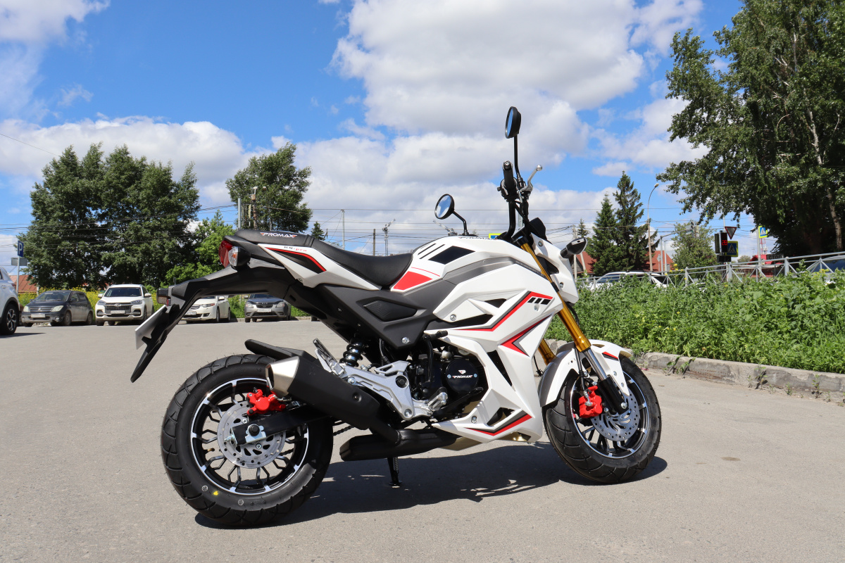 Мотоцикл PROMAX STRYKER 200(49) 2.0 в Каменск-Уральском