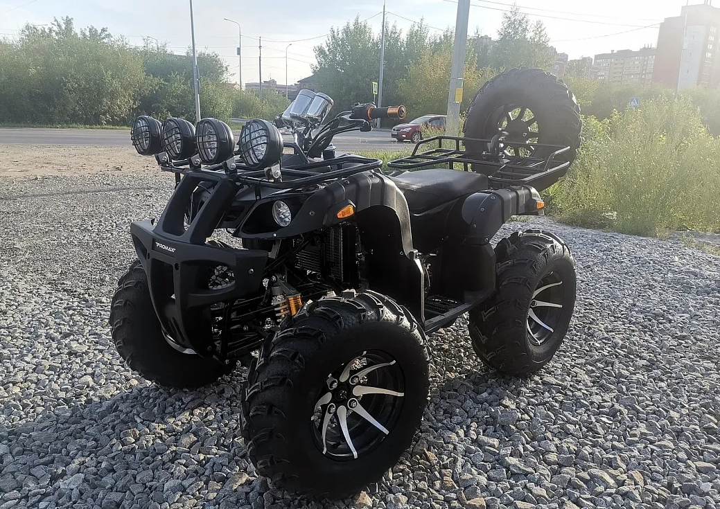 Квадроцикл PROMAX LEO 300 Max (кардан) в Каменск-Уральском