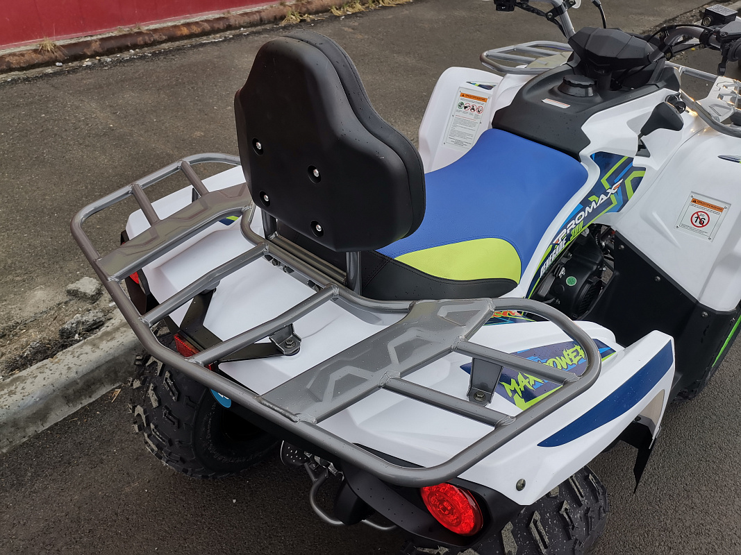 Квадроцикл PROMAX RENEGADE 280 LUX (2025) в Каменск-Уральском