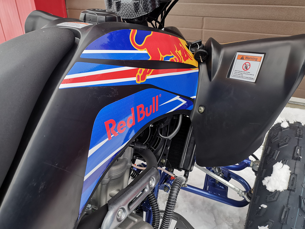 Квадроцикл PROMAX RAPTOR 300 NEW RedBull в Каменск-Уральском
