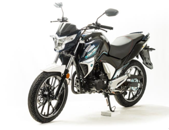 Мотоцикл MOTOLAND (МОТОЛЕНД) FIGHTER 250 в Каменск-Уральском