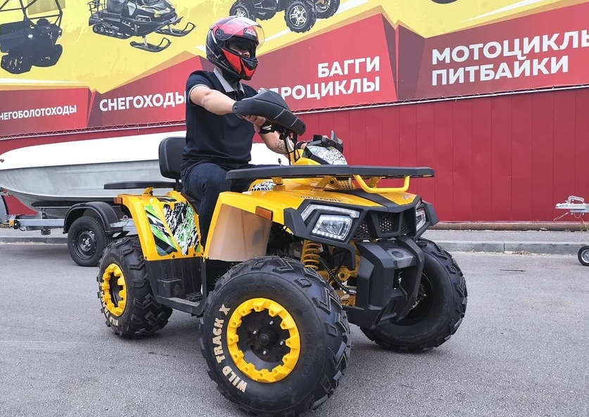 Квадроцикл PROMAX STORM 280 LUX в Каменск-Уральском