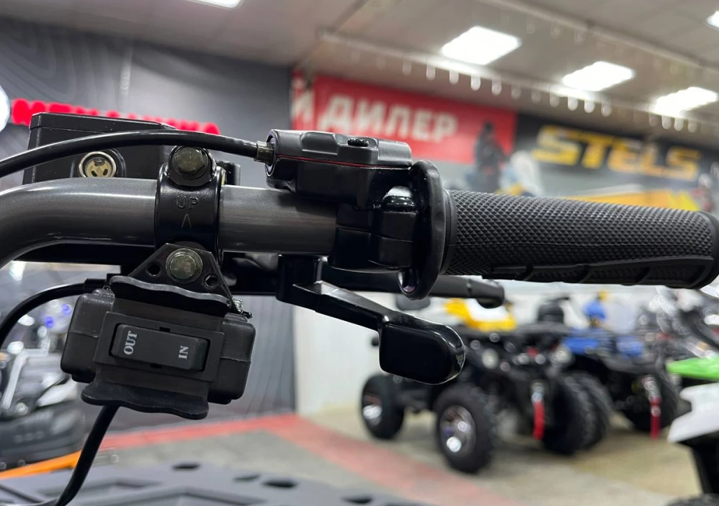 Квадроцикл PROMAX RENEGADE 300 LONG WINCH PRO (2025) в Каменск-Уральском