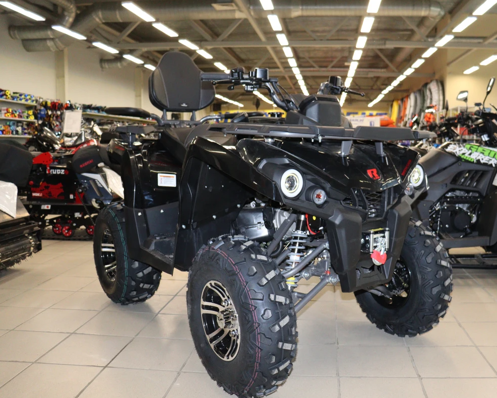 Квадроцикл PROMAX RENEGADE 300 LONG WINCH PRO (2025) в Каменск-Уральском