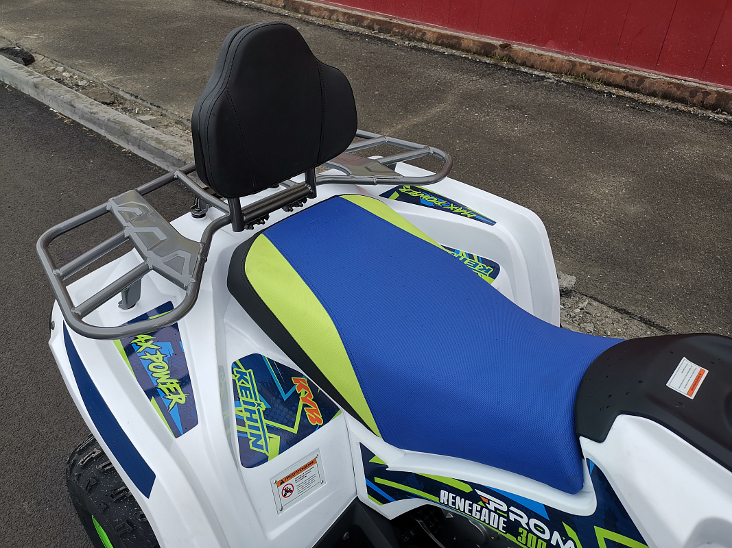 Квадроцикл PROMAX RENEGADE 280 LUX (2025) в Каменск-Уральском