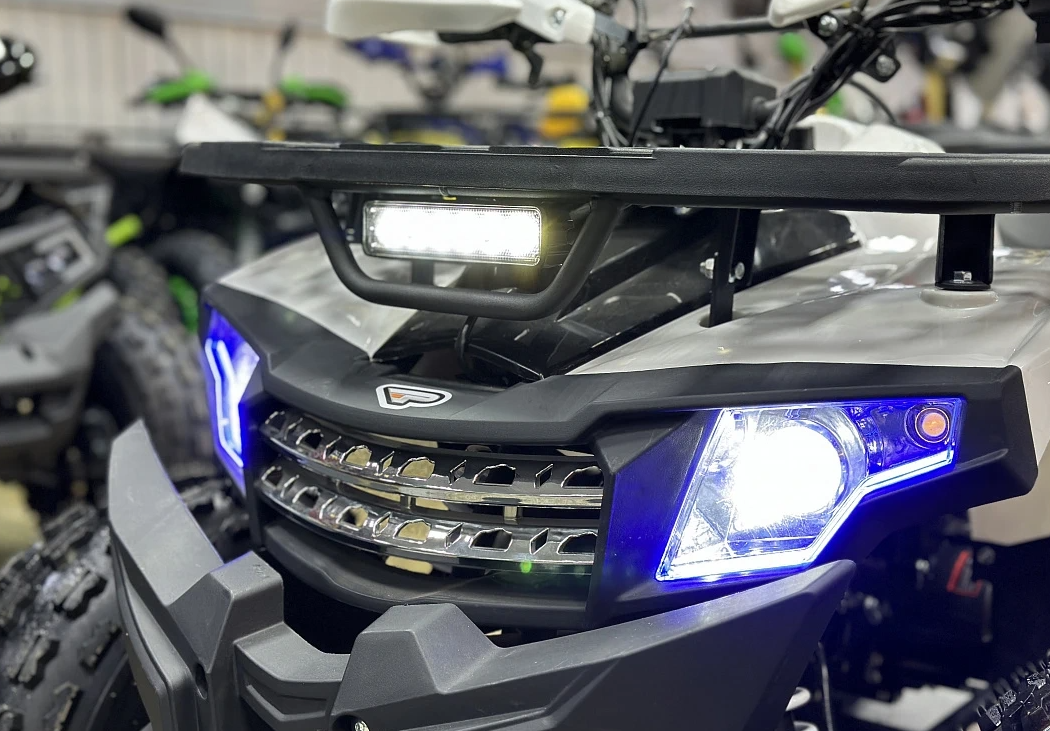 Квадроцикл PROMAX WILD 2.0 190 в Каменск-Уральском