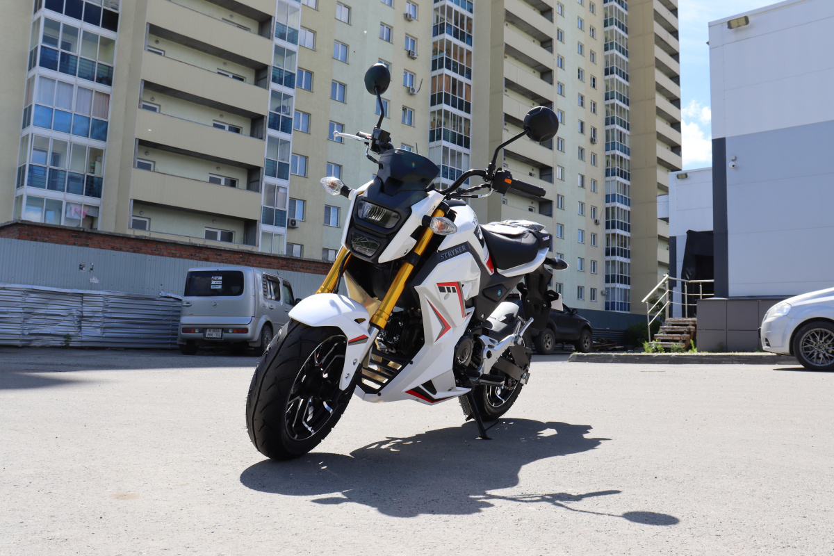 Мотоцикл PROMAX STRYKER 200(49) 2.0 в Каменск-Уральском