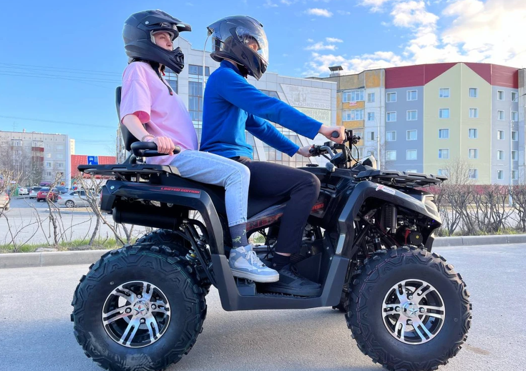 Квадроцикл PROMAX RENEGADE 300 LONG WINCH PRO (2025) в Каменск-Уральском