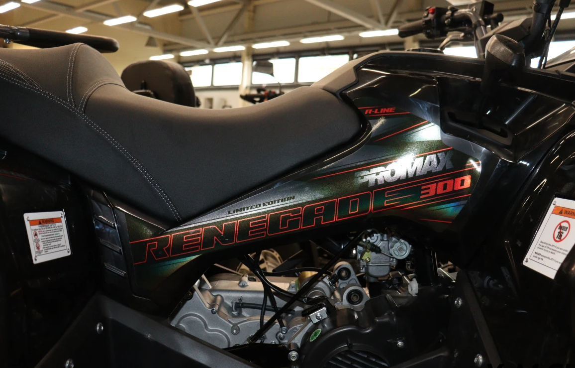 Квадроцикл PROMAX RENEGADE 300 LONG WINCH PRO (2025) в Каменск-Уральском