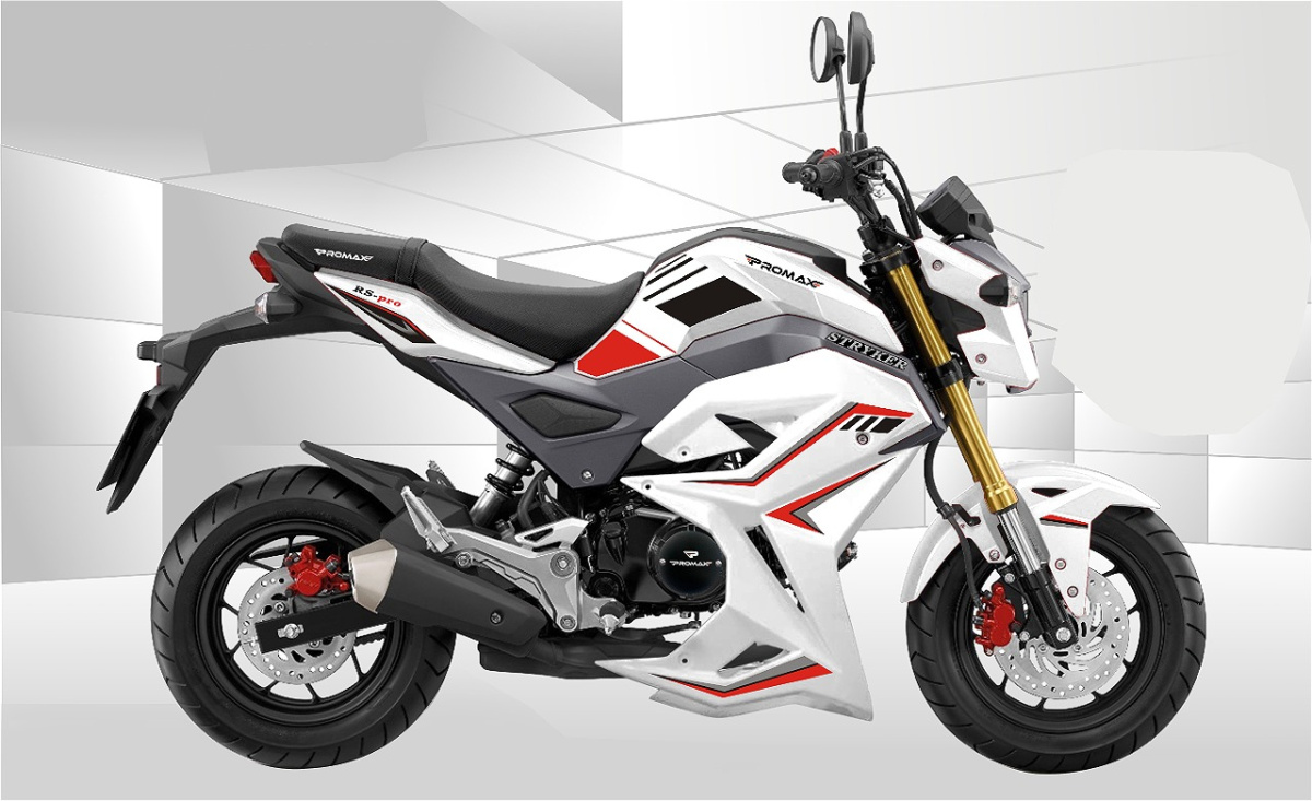 Мотоцикл PROMAX STRYKER 200(49) 2.0 в Каменск-Уральском