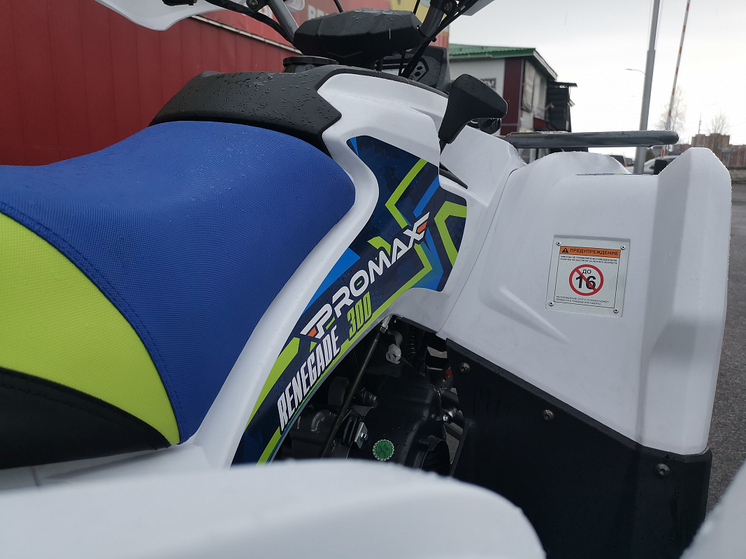 Квадроцикл PROMAX RENEGADE 280 LUX (2025) в Каменск-Уральском