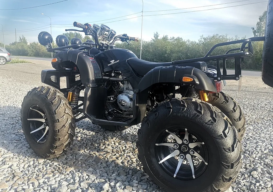 Квадроцикл PROMAX LEO 300 Max (кардан) в Каменск-Уральском