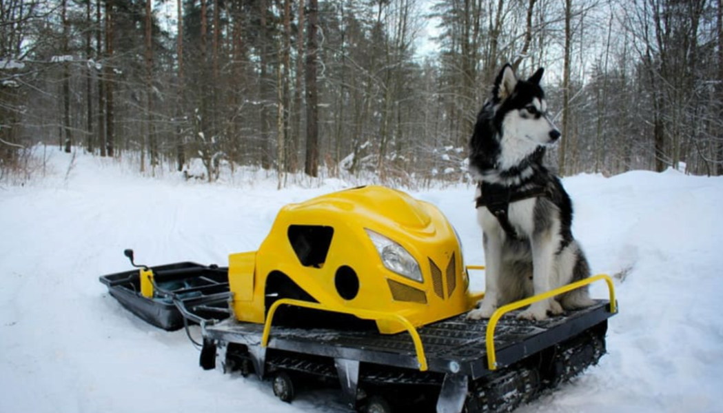 Мотобуксировщик LEBEDEV MOTORS ВОЛКОДАВ POWER V13 в Каменск-Уральском