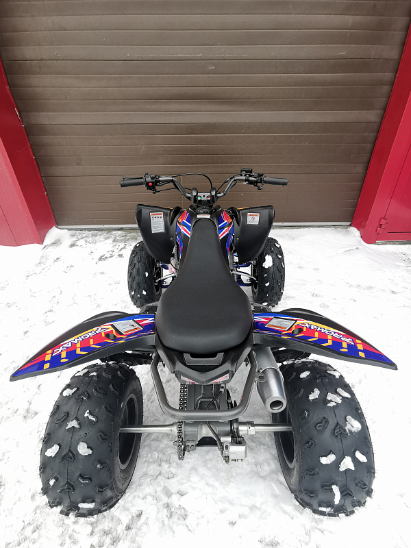 Квадроцикл PROMAX RAPTOR 300 NEW RedBull в Каменск-Уральском
