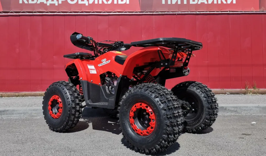 Квадроцикл PROMAX WILD 175 BASIC в Каменск-Уральском