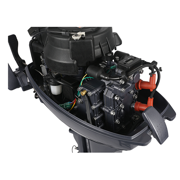 ЛОДОЧНЫЙ МОТОР ALLFA CG Т9,9 в Каменск-Уральском