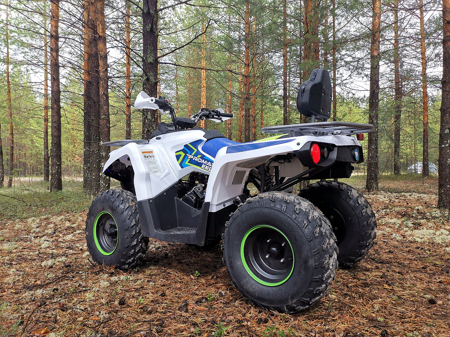 Квадроцикл PROMAX RENEGADE 280 (2025) в Каменск-Уральском