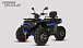 Квадроцикл PROMAX TAURUS 300 MAX-PRO LONG в Каменск-Уральском