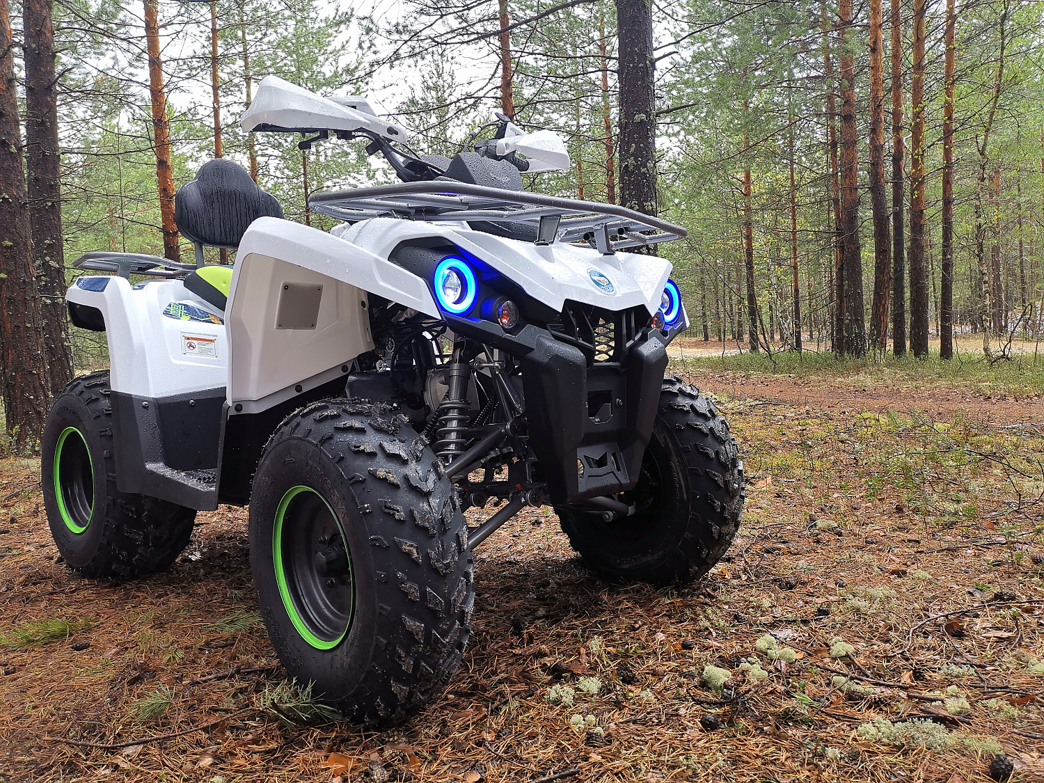 Квадроцикл PROMAX RENEGADE 280 (2025) в Каменск-Уральском
