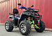  Квадроцикл PROMAX ATV 250 MAX (2025) в Каменск-Уральском