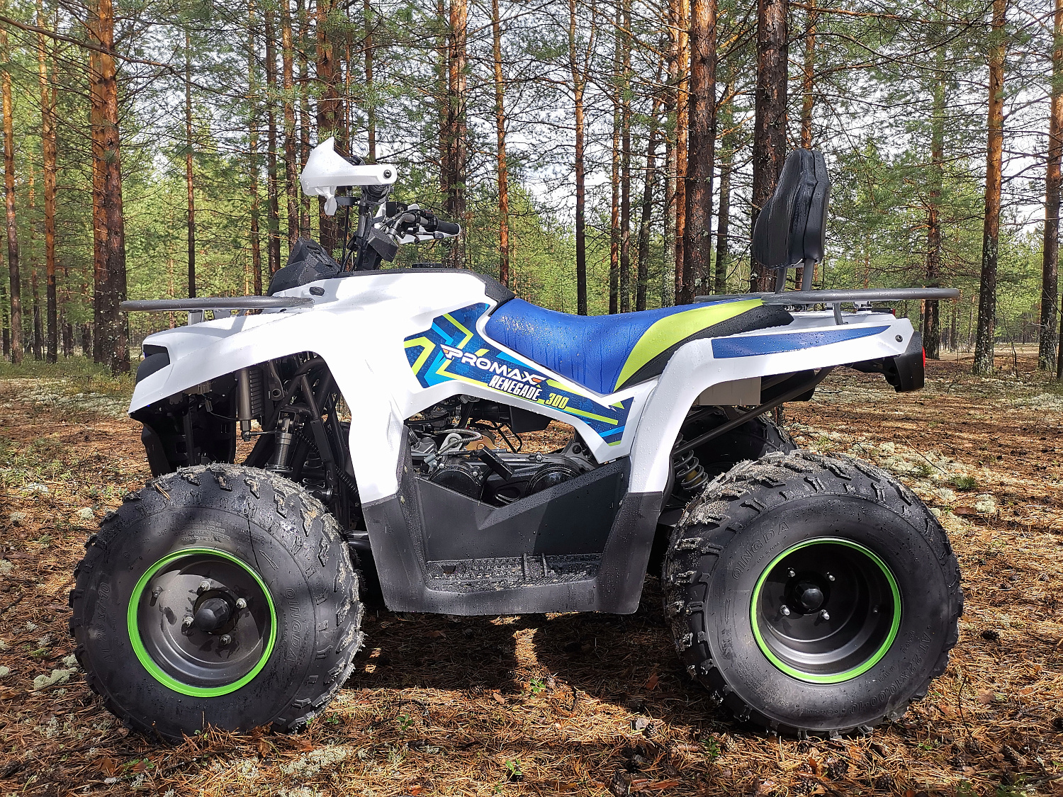 Квадроцикл PROMAX RENEGADE 280 (2025) в Каменск-Уральском