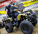 Квадроцикл PROMAX ATV 250 (2025) в Каменск-Уральском