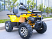 Квадроцикл MOTOLAND (МОТОЛЕНД) VOX200 WILD TRACK X PRO (баланс. вал) в Каменск-Уральском