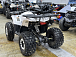 Квадроцикл PROMAX WILD 2.0 190 LUX в Каменск-Уральском