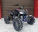 Квадроцикл PROMAX RAPTOR 300 NEW RedBull в Каменск-Уральском