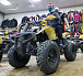 Квадроцикл PROMAX ATV 250 (2025) в Каменск-Уральском
