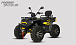 Квадроцикл PROMAX TAURUS 300 MAX-PRO LONG в Каменск-Уральском